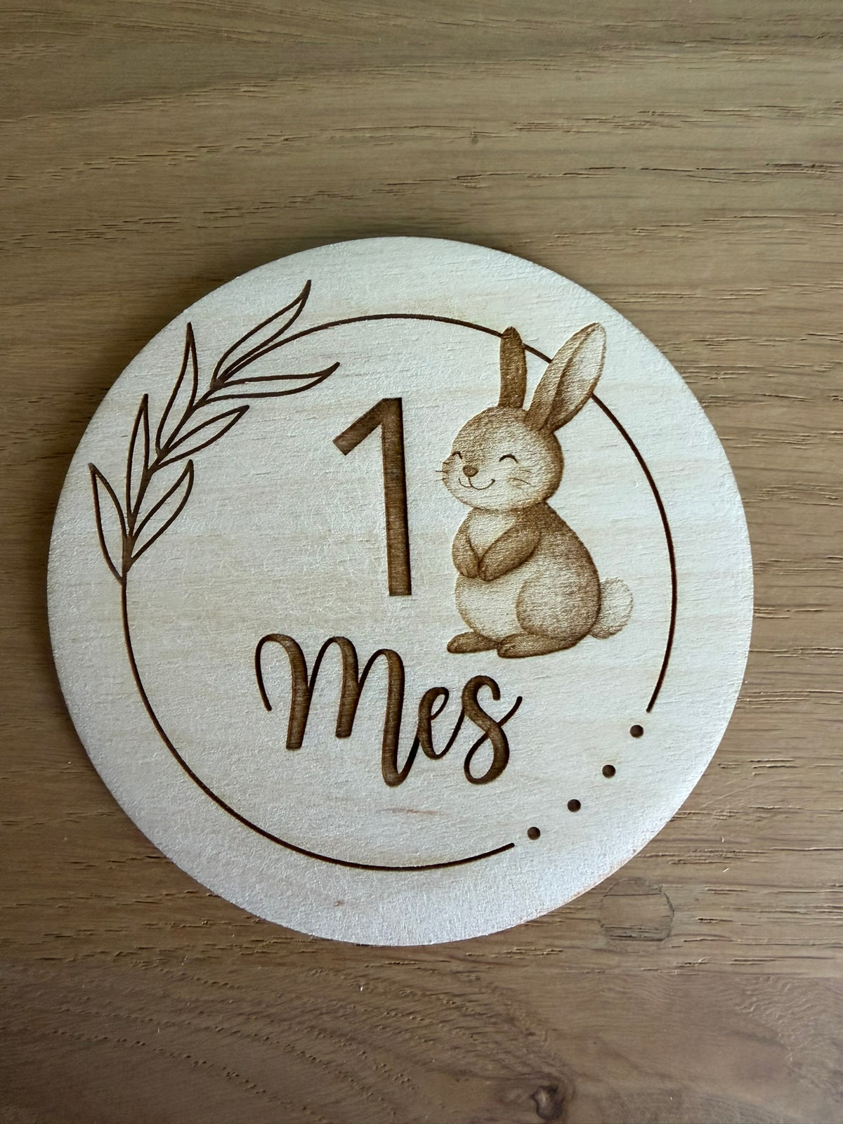 Pack 13 placas cumple meses bebé animales - vista adicional 2