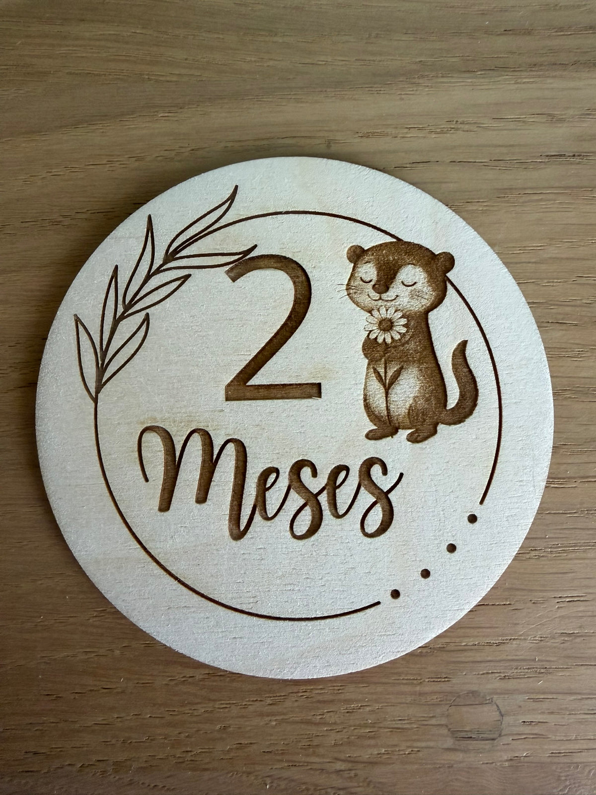 Pack 13 placas cumple meses bebé animales - vista adicional 3