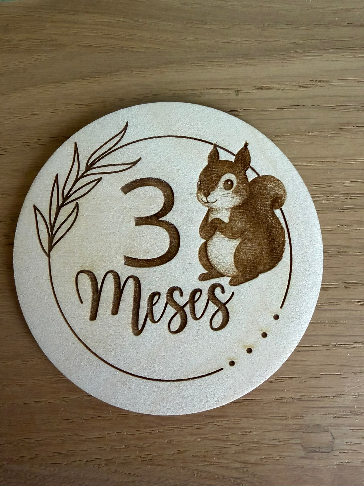 Pack 13 placas cumple meses bebé animales - vista adicional 4