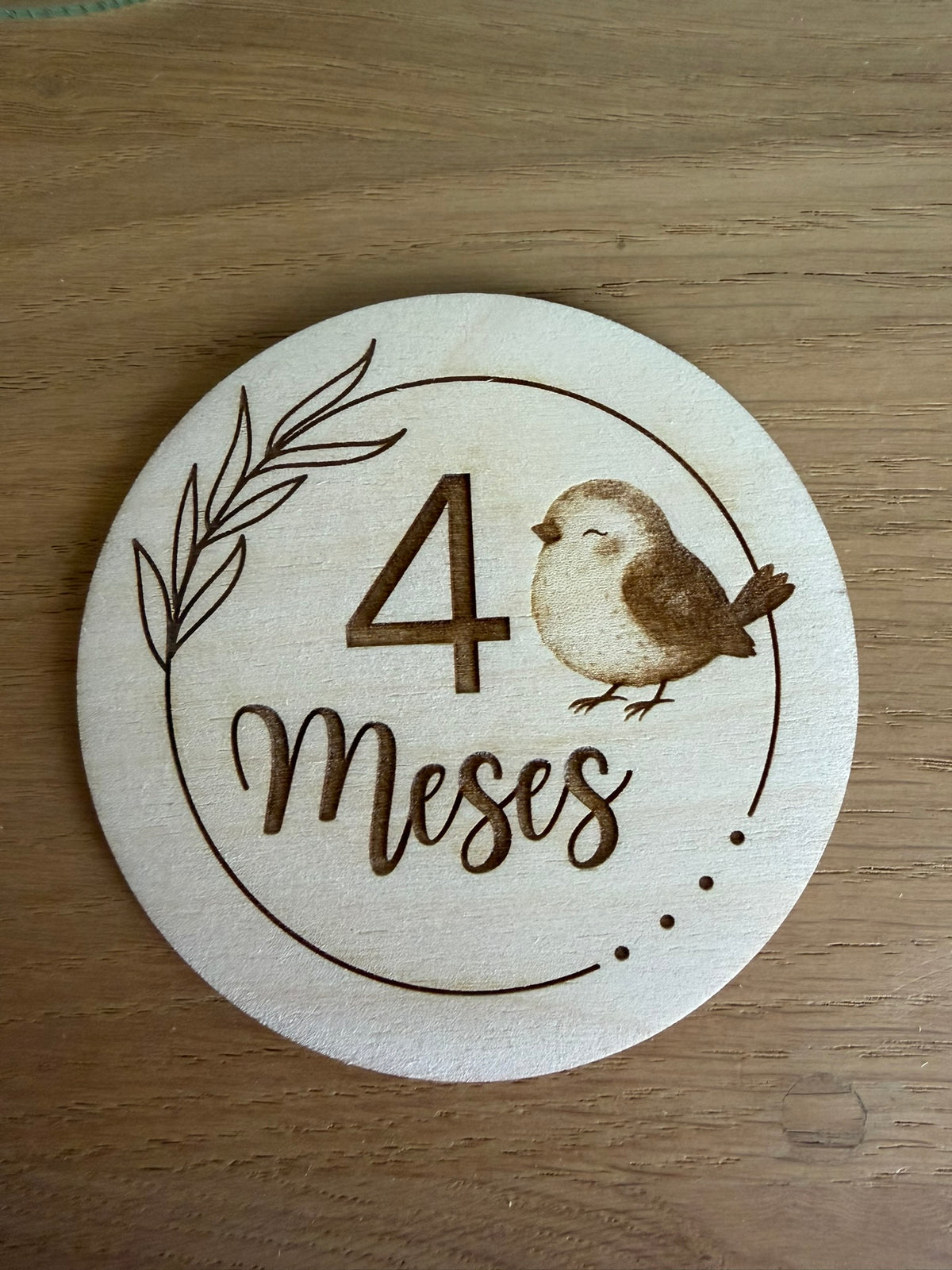 Pack 13 placas cumple meses bebé animales - vista adicional 5