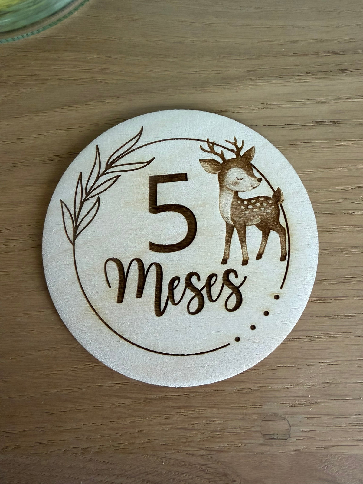 Pack 13 placas cumple meses bebé animales - vista adicional 6