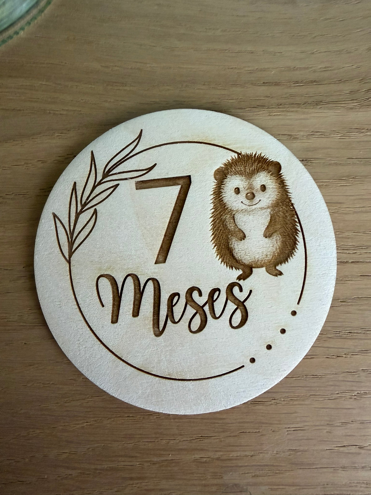 Pack 13 placas cumple meses bebé animales - vista adicional 8