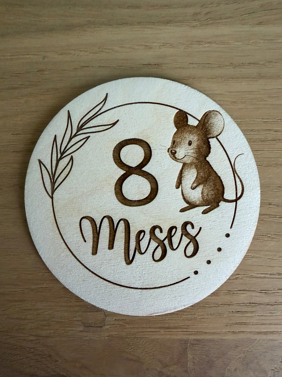 Pack 13 placas cumple meses bebé animales - vista adicional 9