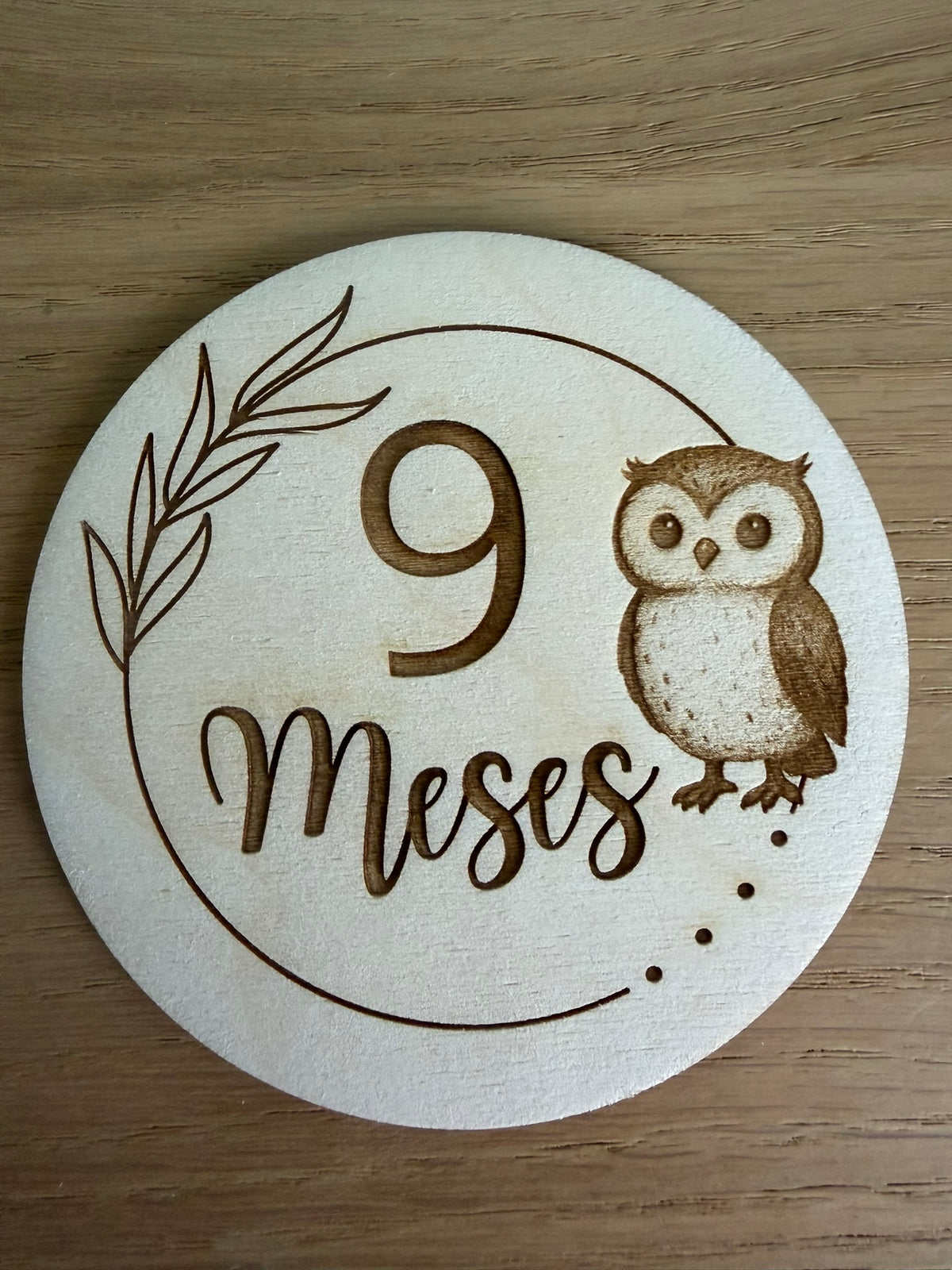 Pack 13 placas cumple meses bebé animales - vista adicional 10