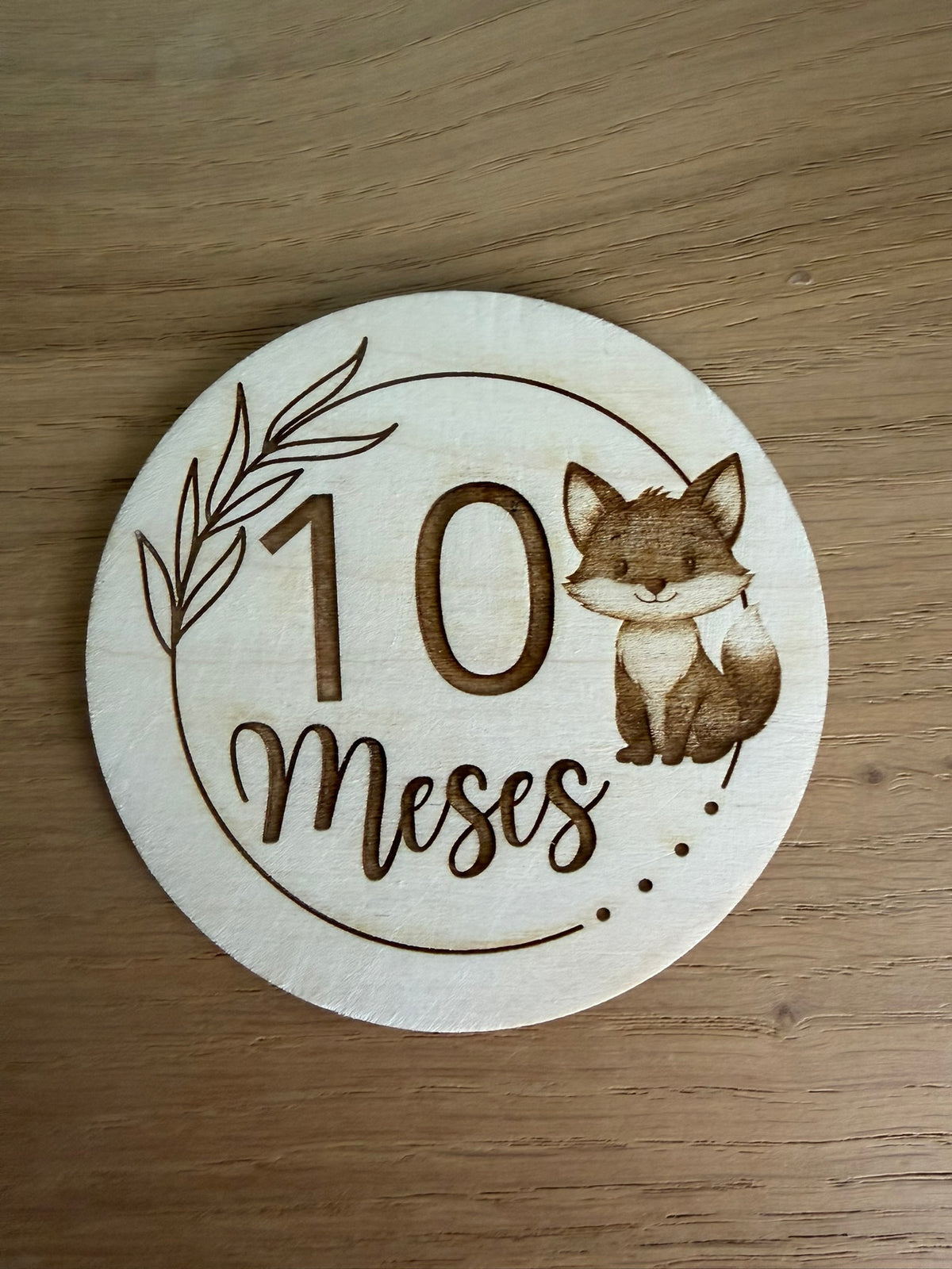 Pack 13 placas cumple meses bebé animales - vista adicional 11