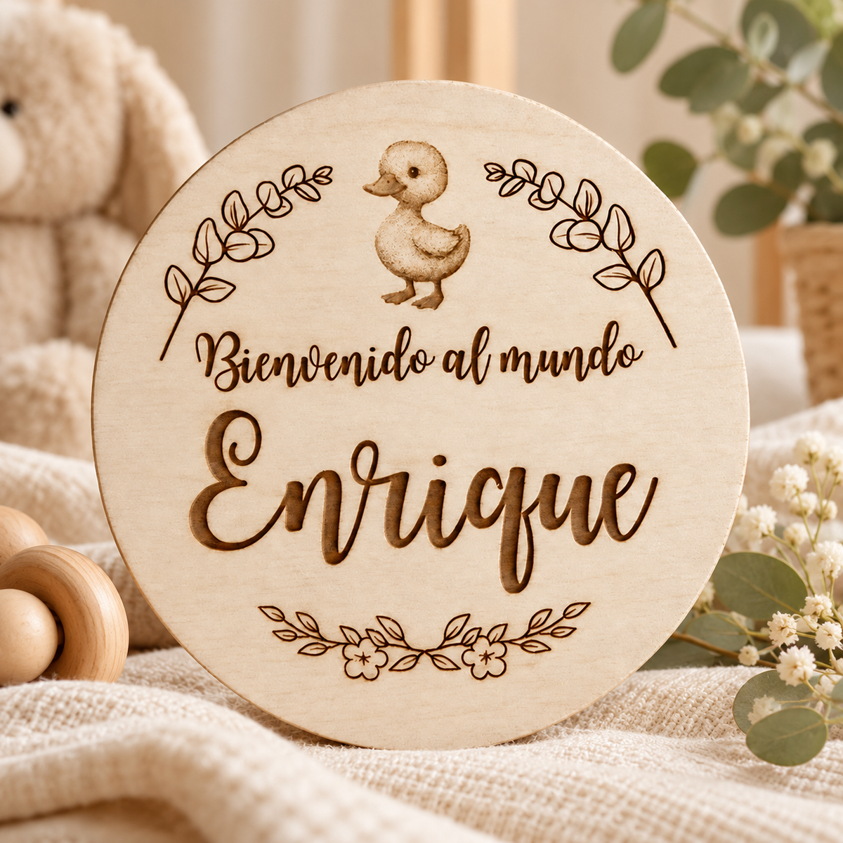 Pack 13 placas cumple meses bebé con placa Bienvenido al mundo Enrique