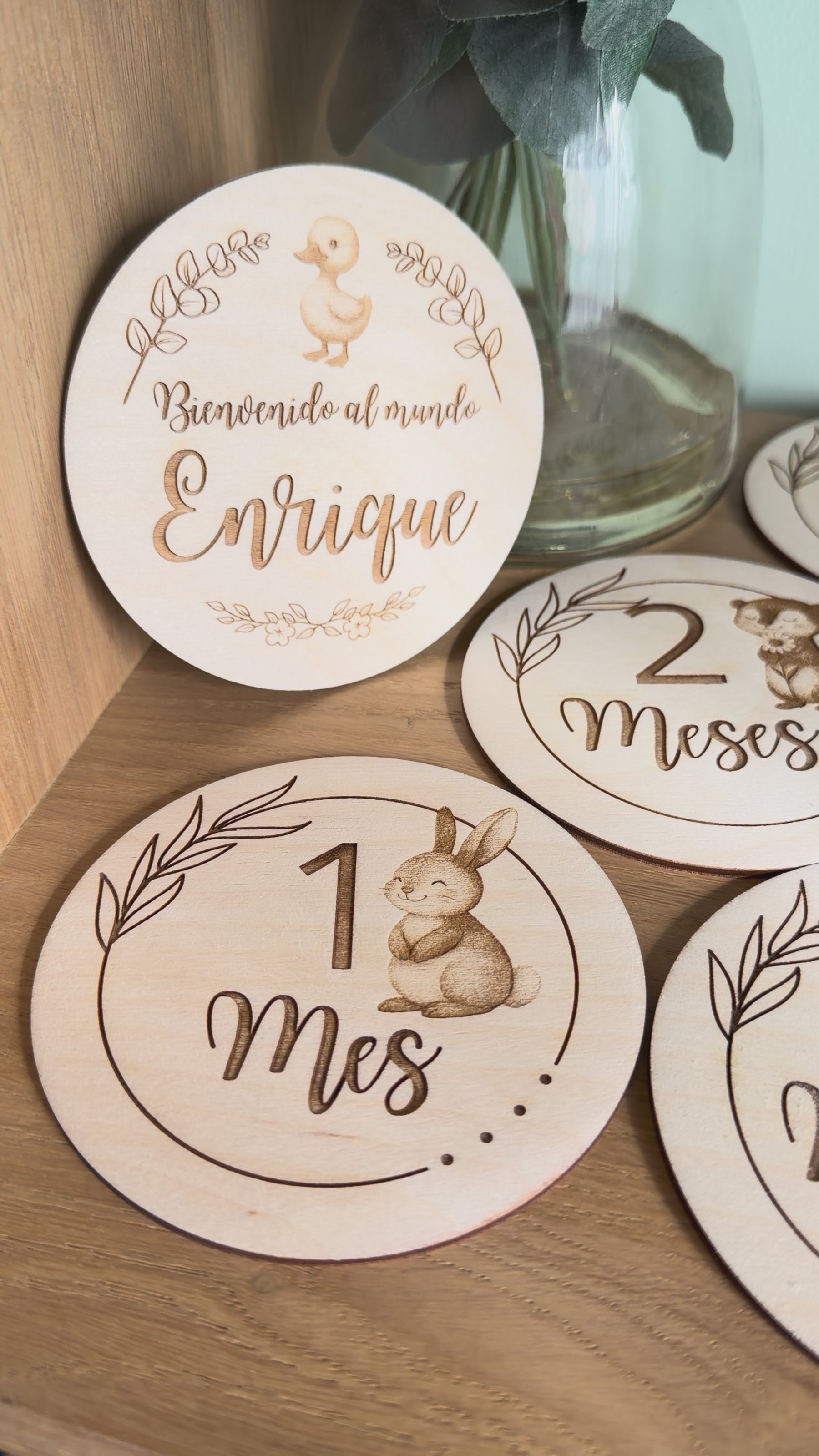 Pack de 13 placas cumplemeses con diseños de animales.